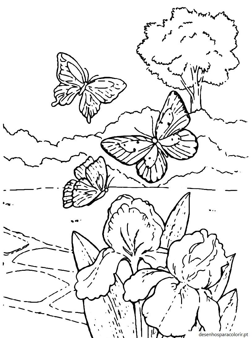 Desenhos de borboletas para download 14